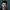 Aaron-Campbell3R2A7945-2-scaled-1-aspect-ratio-750-750