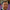 Andrew-Dunn-aspect-ratio-750-750