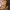 Professor-Sam-Hayden-aspect-ratio-750-750