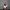 zoi_dimitriou-aspect-ratio-750-750