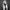 Headshot_Amelia-aspect-ratio-750-750