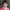 anna_pope-aspect-ratio-750-750