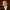 dario-staff-image-aspect-ratio-750-750