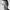 kelvin_lim-aspect-ratio-750-750