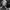 walter_reiter_326x487-aspect-ratio-750-750