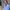 Ozmo_Photo_Edit-aspect-ratio-750-750