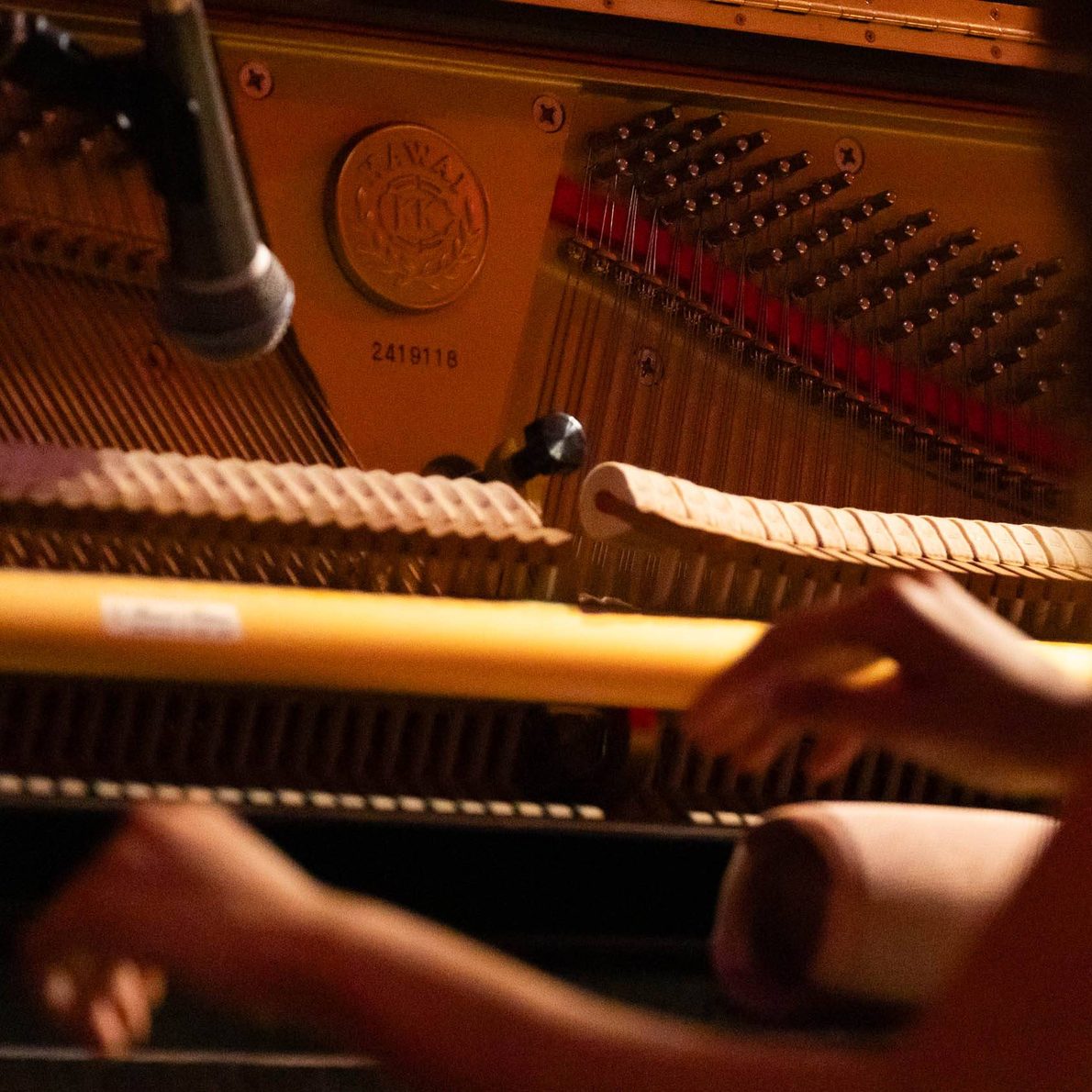 Whats On Performance | Trinity Laban