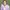H-scaled-aspect-ratio-750-750