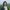 Huang-Shiyin-aspect-ratio-750-750 Huang Shiyin