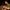 Jafari-Davood-aspect-ratio-750-750 Jafari Davood