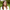 Lyndsay-Barnbrook-aspect-ratio-750-750 Lyndsay Barnbrook
