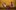 CAT Dancers Performance ensemble yellow background 217
