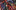 Language of Pain Art Thumbnail 1