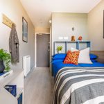 Ironworks standard ensuite bedroom, small double bed with cubby holes for storage above. To the side of the bed is a desk with bookshelving. A jacket is hung on pegs along the wall alongside bright modern art in frames.